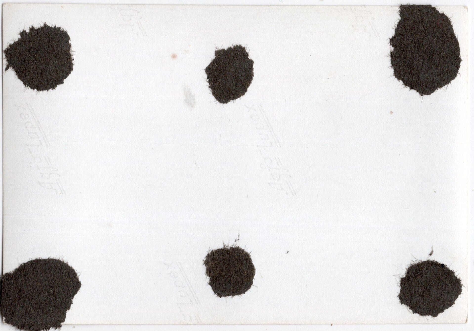 Original WW2 German Photo - Burned hangar at the Rotterdam airfield, Waalhaven, Holland (1940) — image 2