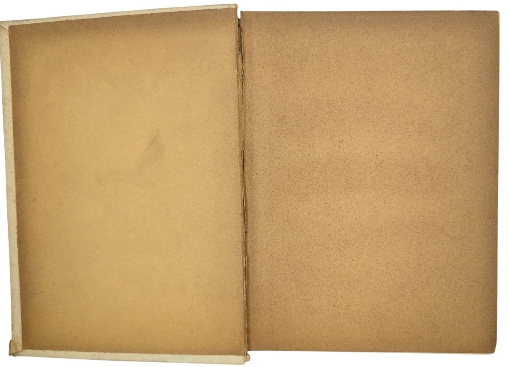 Original WW2 Dutch Collaboration NSB Book - Beknopte Geschiedenis van het Noordras, Herman Laagland (1938) — image 2