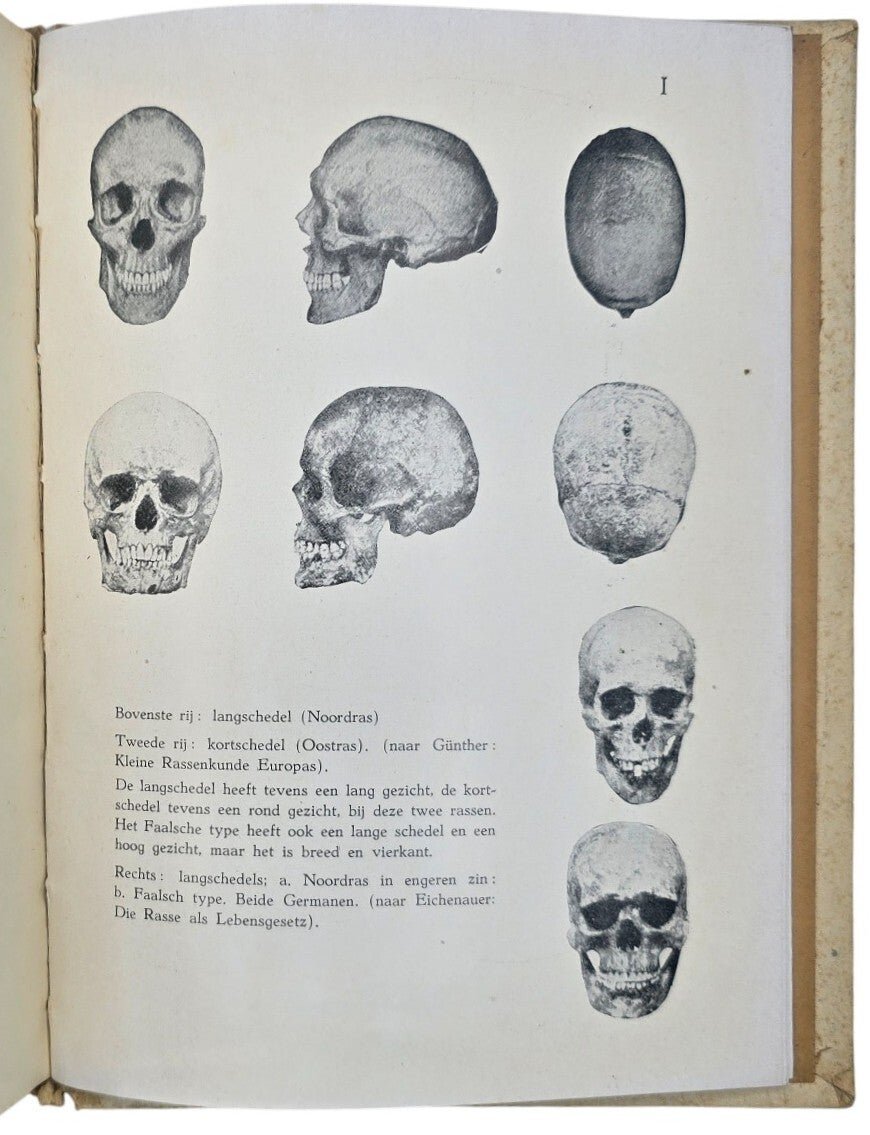 Original WW2 Dutch Collaboration NSB Book - Beknopte Geschiedenis van het Noordras, Herman Laagland (1938) — image 7