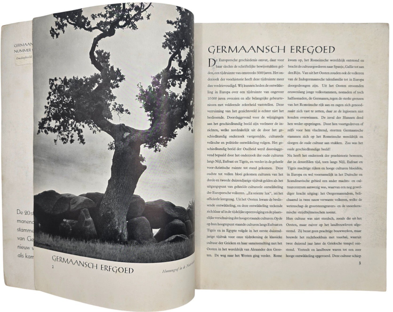 Original WW2 Dutch Waffen SS Brochure - Germaansche Gemeenschap Nummer 1 (1941) — image 3