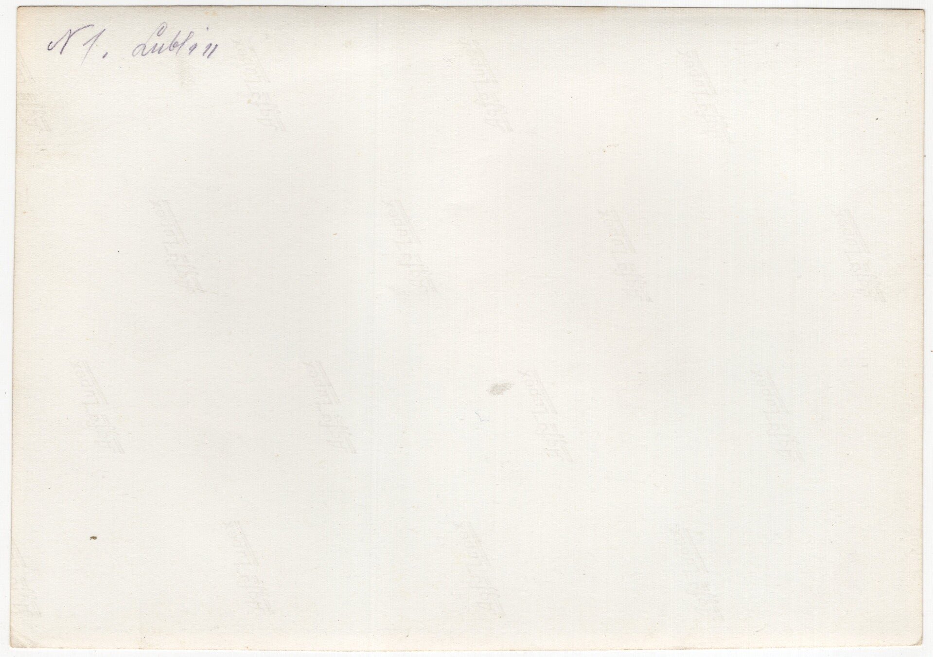 Original WW2 German Waffen SS Press Photo - SS-Kavallerie-Regiment 2 Cavalry Kommandeur Franz Magill — image 2