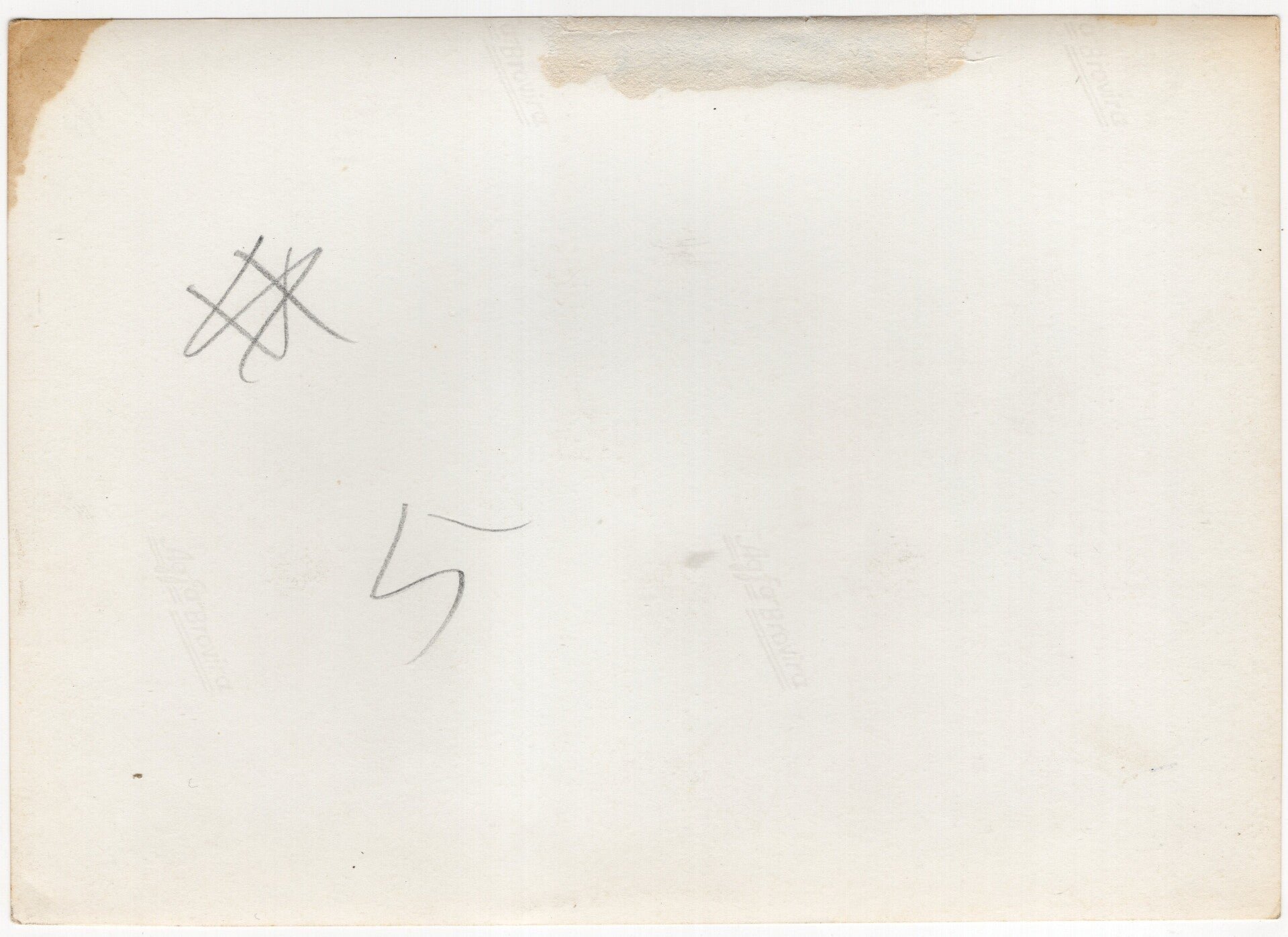 Original WW2 German Waffen SS Press Photo - SS-Kavallerie-Regiment 2 Cavalry with their horses — image 2