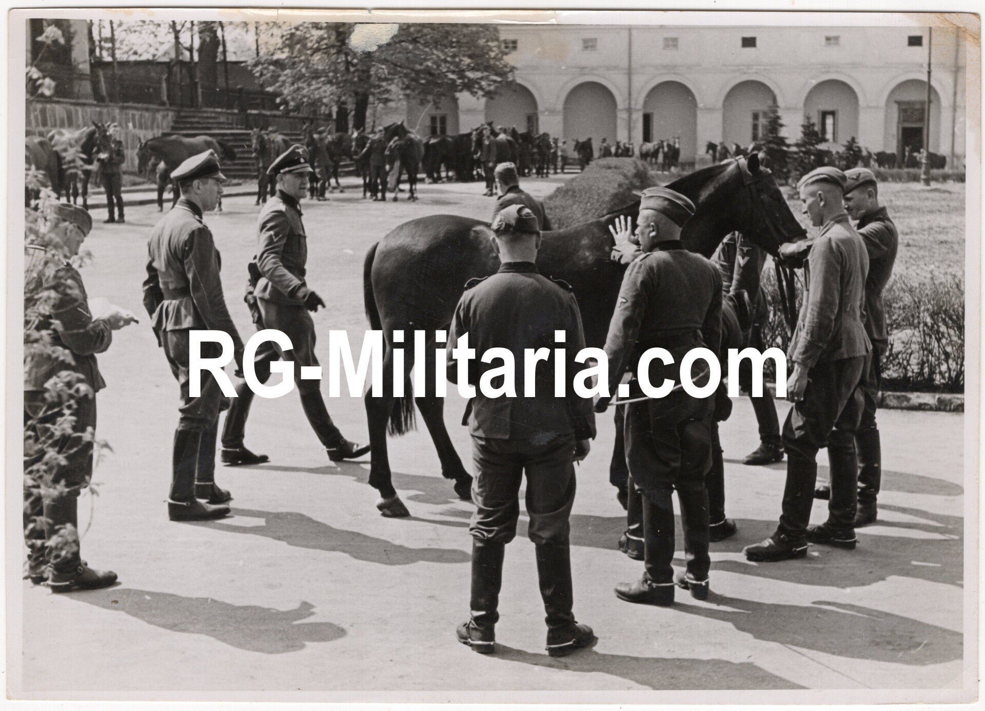 Original WW2 German Waffen SS Press Photo - SS-Kavallerie-Regiment 2 Cavalry with their horses — image 3