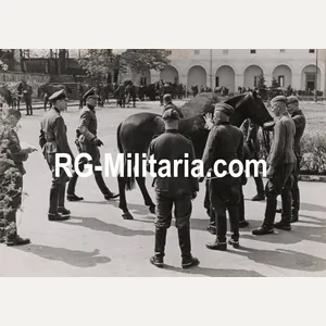 Original WW2 German Waffen SS Press Photo - SS-Kavallerie-Regiment 2 …