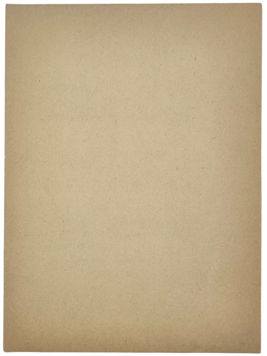 Original WW2 Dutch Collaboration NSB Newspaper - Het Nationale Dagblad, 9th Year No. 145, Emergency edition ''Weapon suspension in the Netherlands'', 5th of May (1945) — image 2