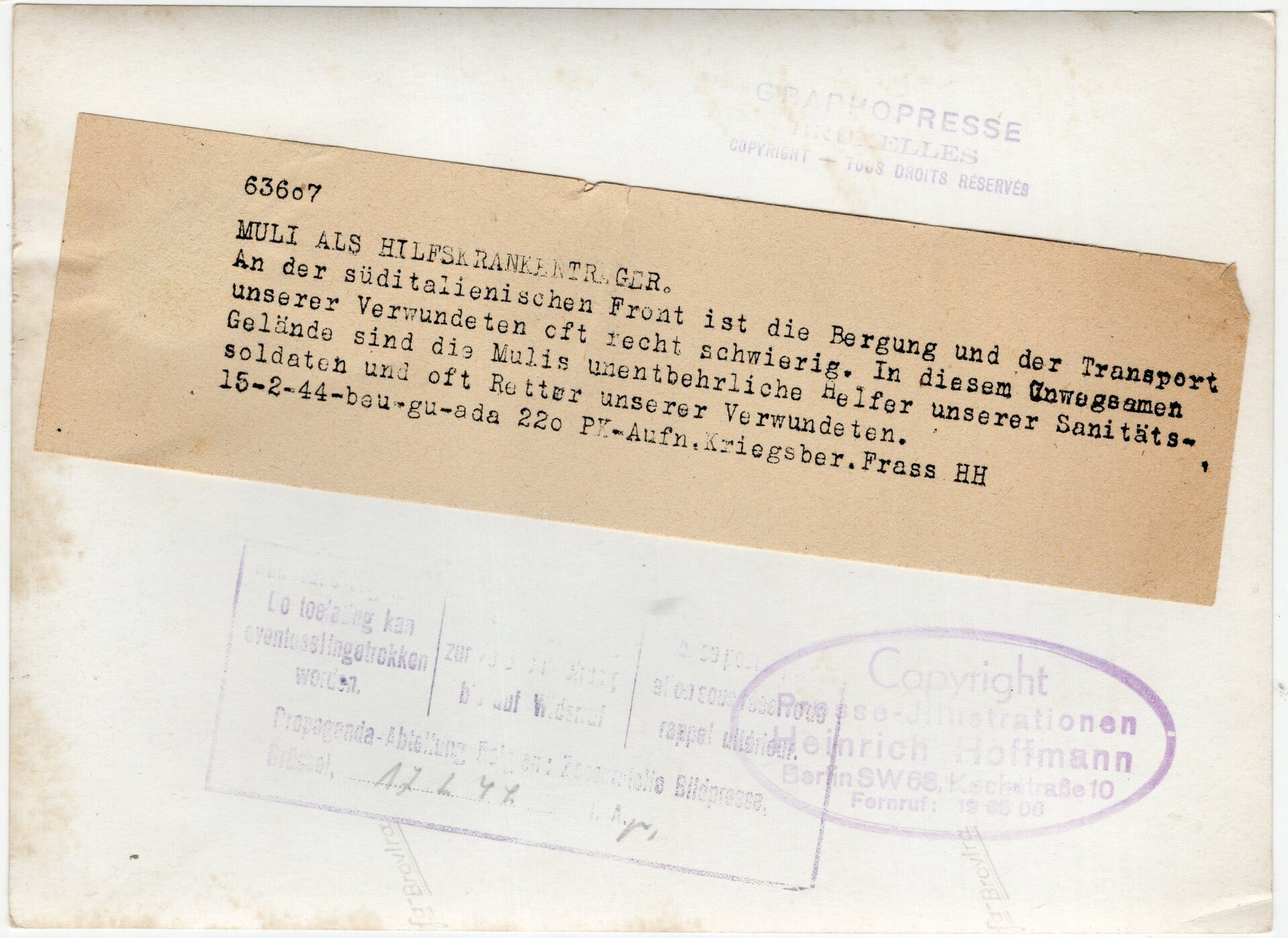 Original WW2 German Press Photo - Donkey used by medic troops (1944) — image 2