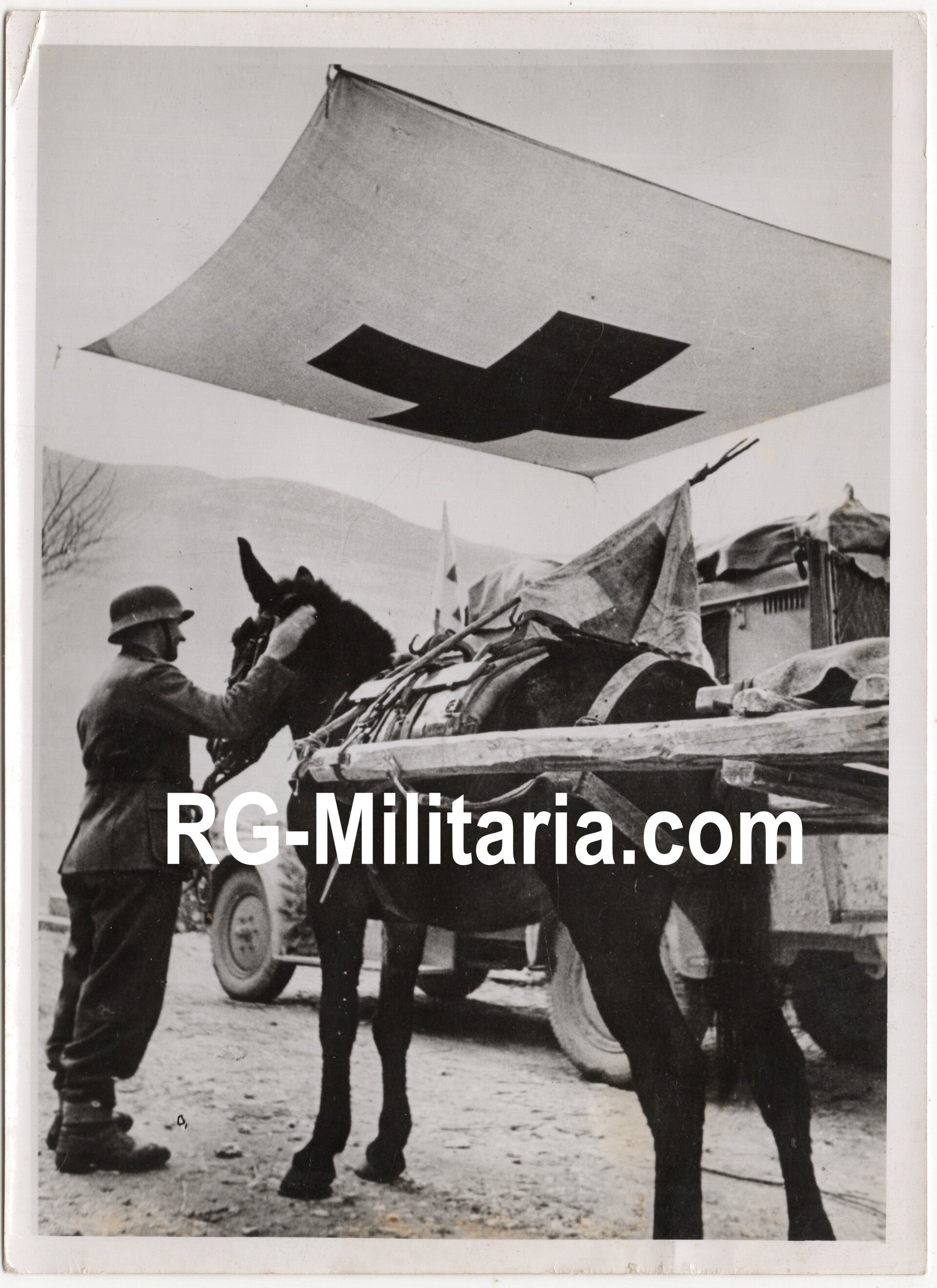 Original WW2 German Press Photo - Donkey used by medic troops (1944) — image 3