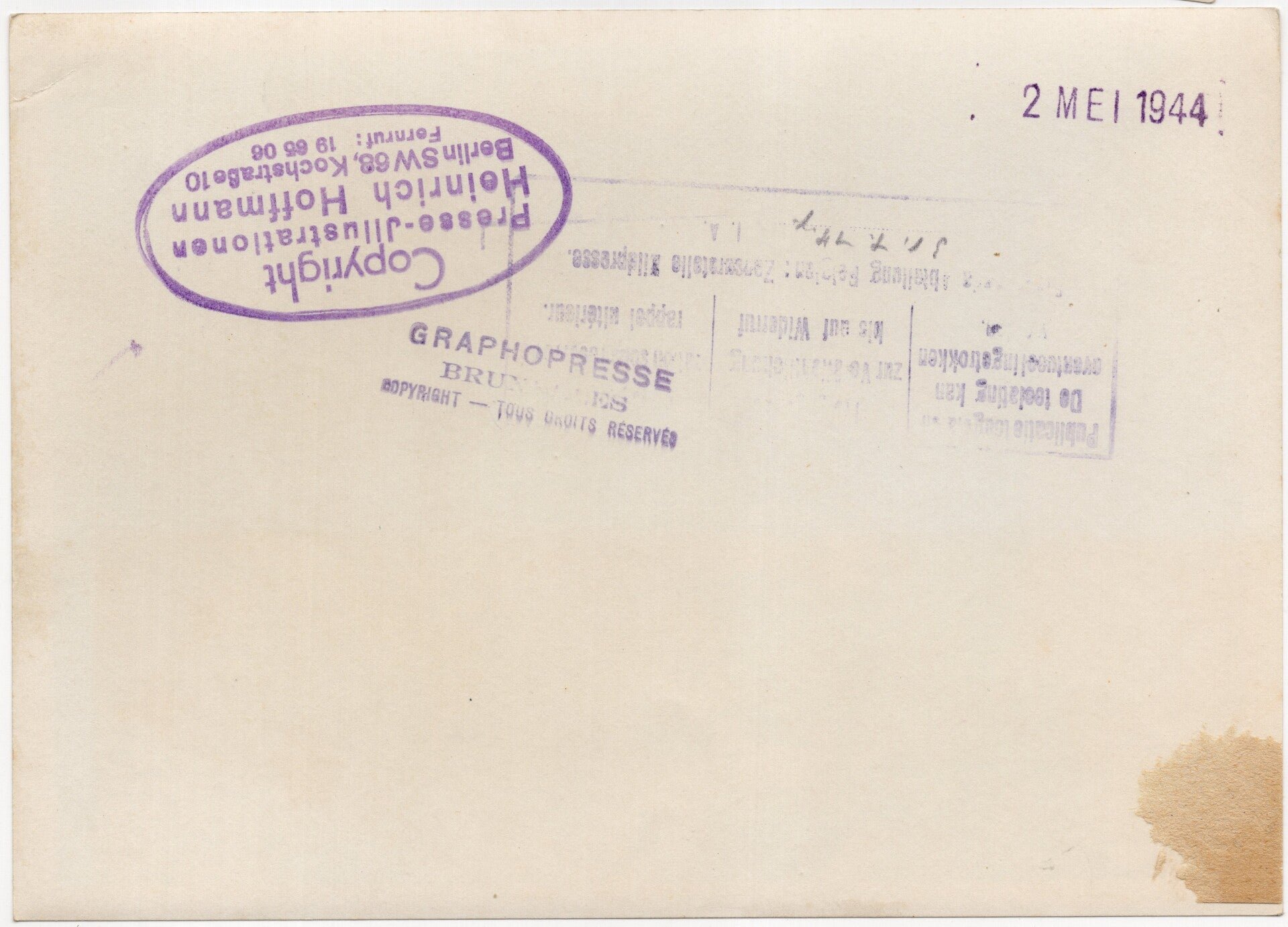 Original WW2 German Press Photo - Donkeys used by Wehrmacht troops (1944) — image 2