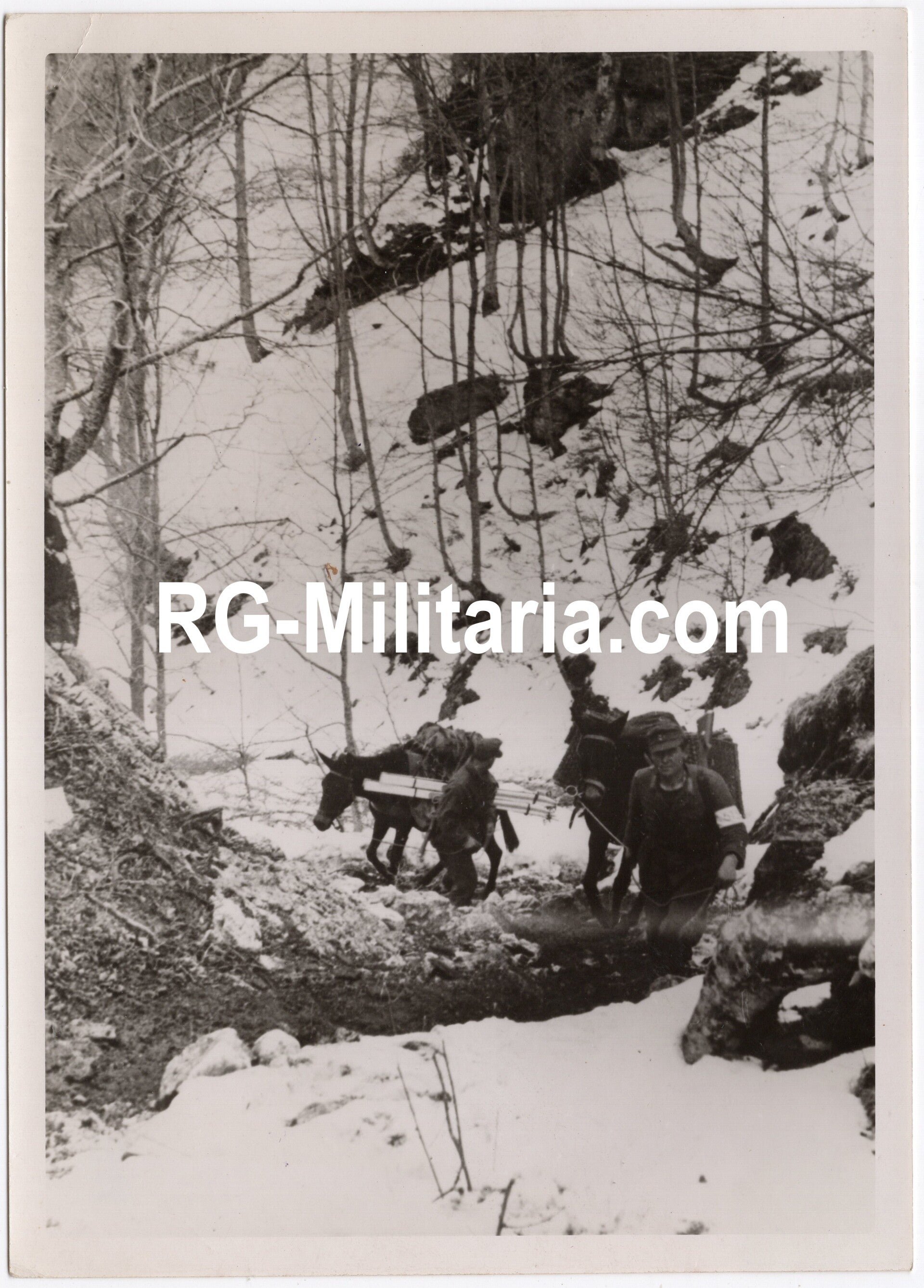 Original WW2 German Press Photo - Donkeys used by Wehrmacht troops (1944) — image 3