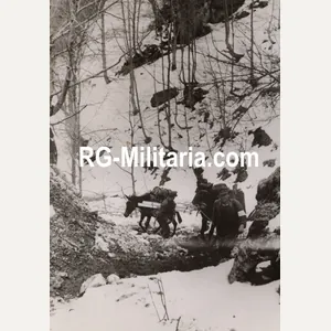 Original WW2 German Press Photo - Donkeys used by Wehrmacht …