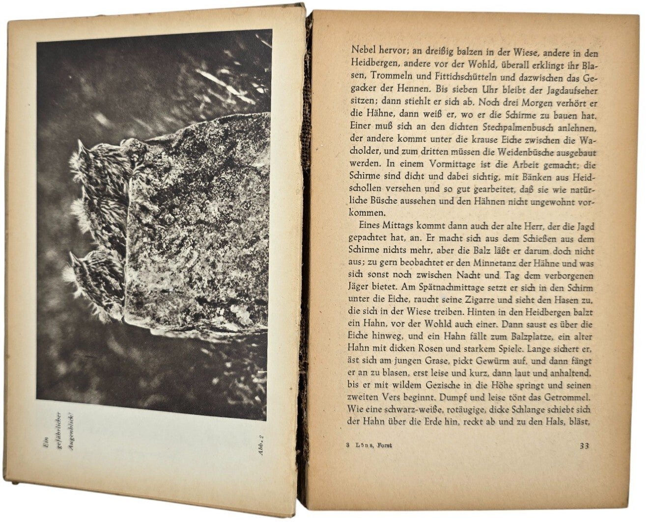 Original WW2 German Book - Aus Forst und Flur, Hermann Löns, Polizei Waffenschule III, Lager Wezep (1944) — image 5