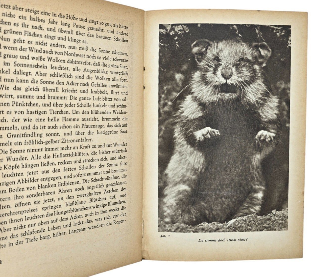 Original WW2 German Book - Aus Forst und Flur, Hermann Löns, Polizei Waffenschule III, Lager Wezep (1944) — image 6