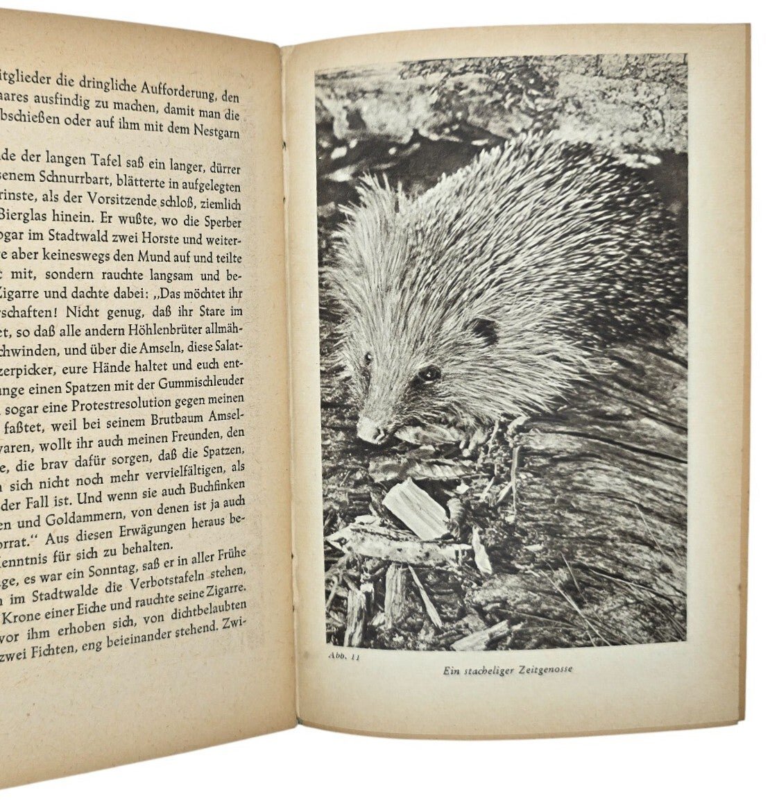 Original WW2 German Book - Aus Forst und Flur, Hermann Löns, Polizei Waffenschule III, Lager Wezep (1944) — image 7