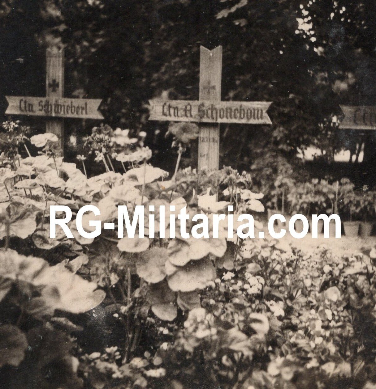 Original WW2 German Photo - Military cemetery Crooswijk, Rotterdam, May (1940) — image 3