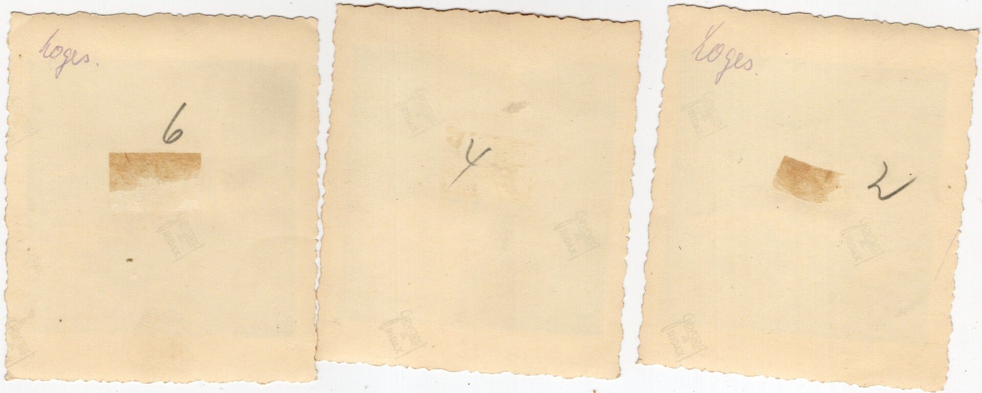 Original WW2 German Photo - Military cemetery Crooswijk, Rotterdam, May (1940) — image 4