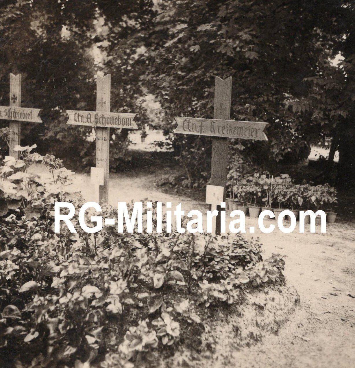 Original WW2 German Photo - Military cemetery Crooswijk, Rotterdam, May (1940) — image 5