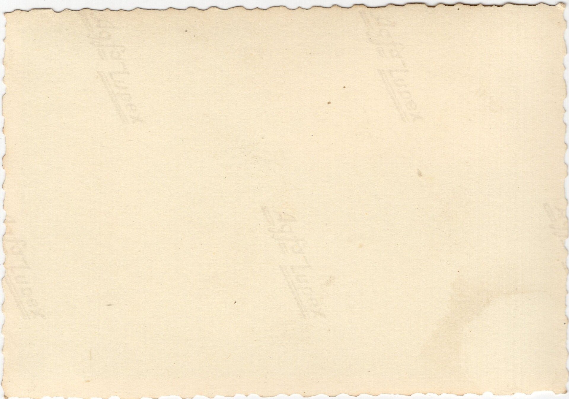 Original WW2 German Photo - German soldier at bunker Kazemat II Willemsdorp, Dordrecht, Fallschirmjäger Rgt. 1 — image 2