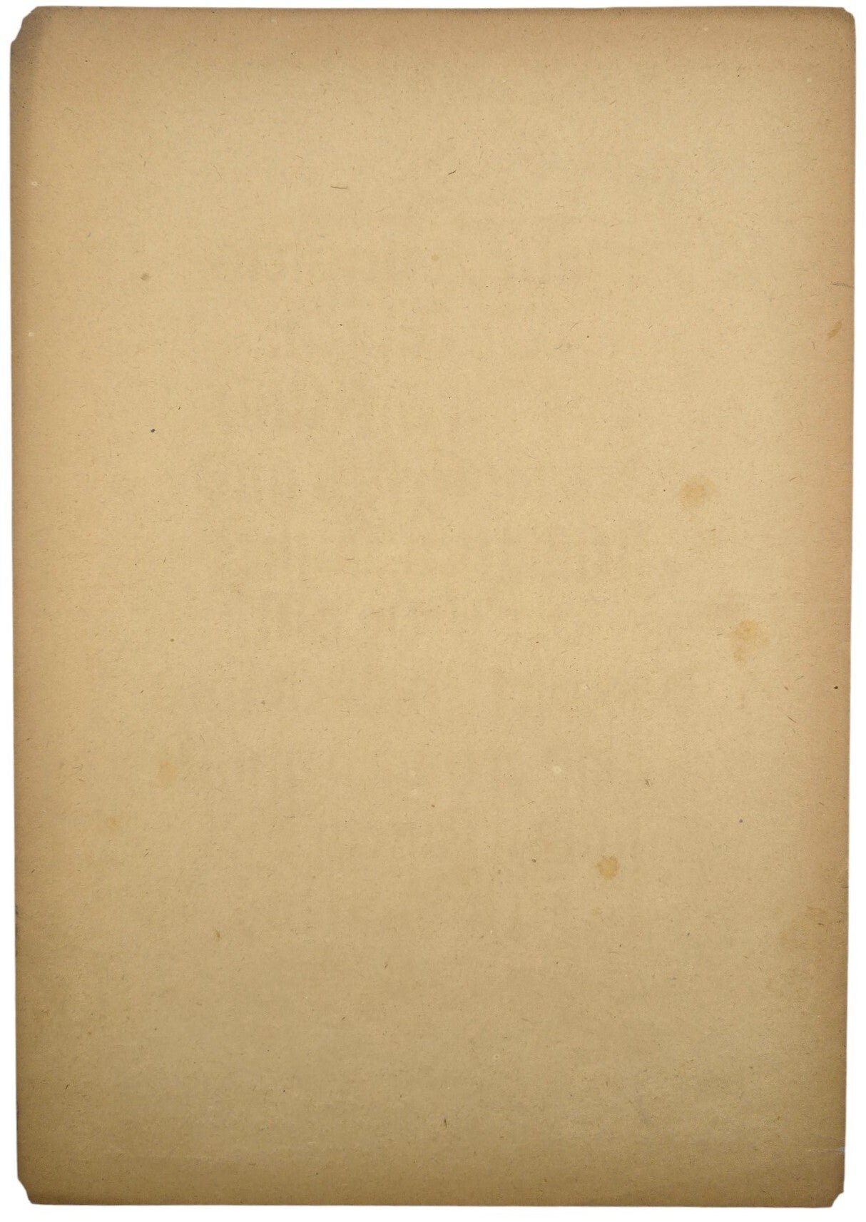 Original WW2 German Poster - NSDAP Wochenspruch folge 2, Dr. Joseph Goebbels (1944) — image 2