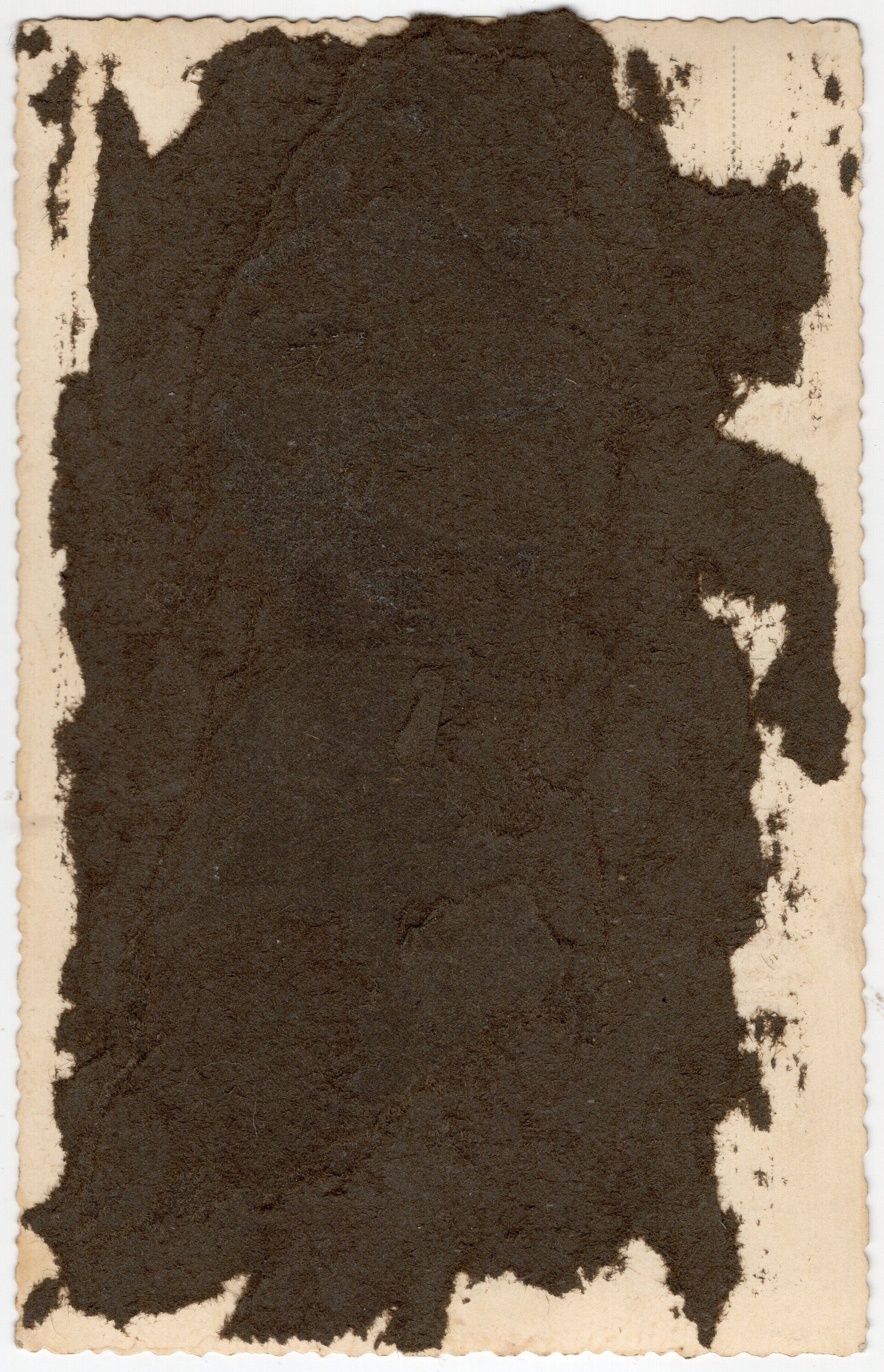 Original WW2 German Portrait Photo - Female Wehrmacht Blitzmadel — image 3