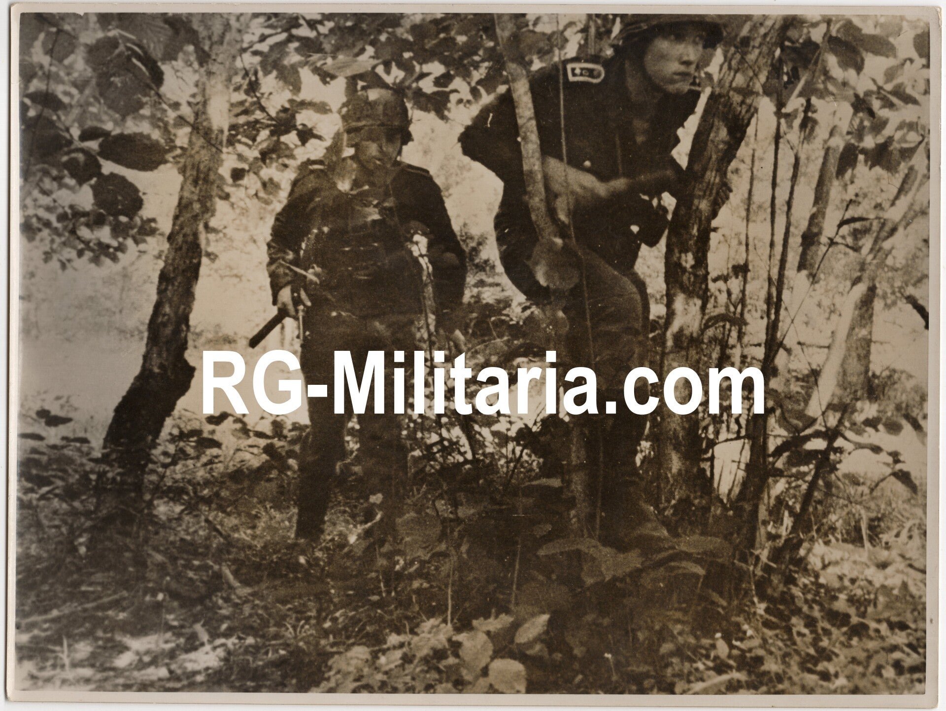 Original WW2 German Waffen SS Press Photo - SS troops in the woods of the Caucasus (1942) — image 3