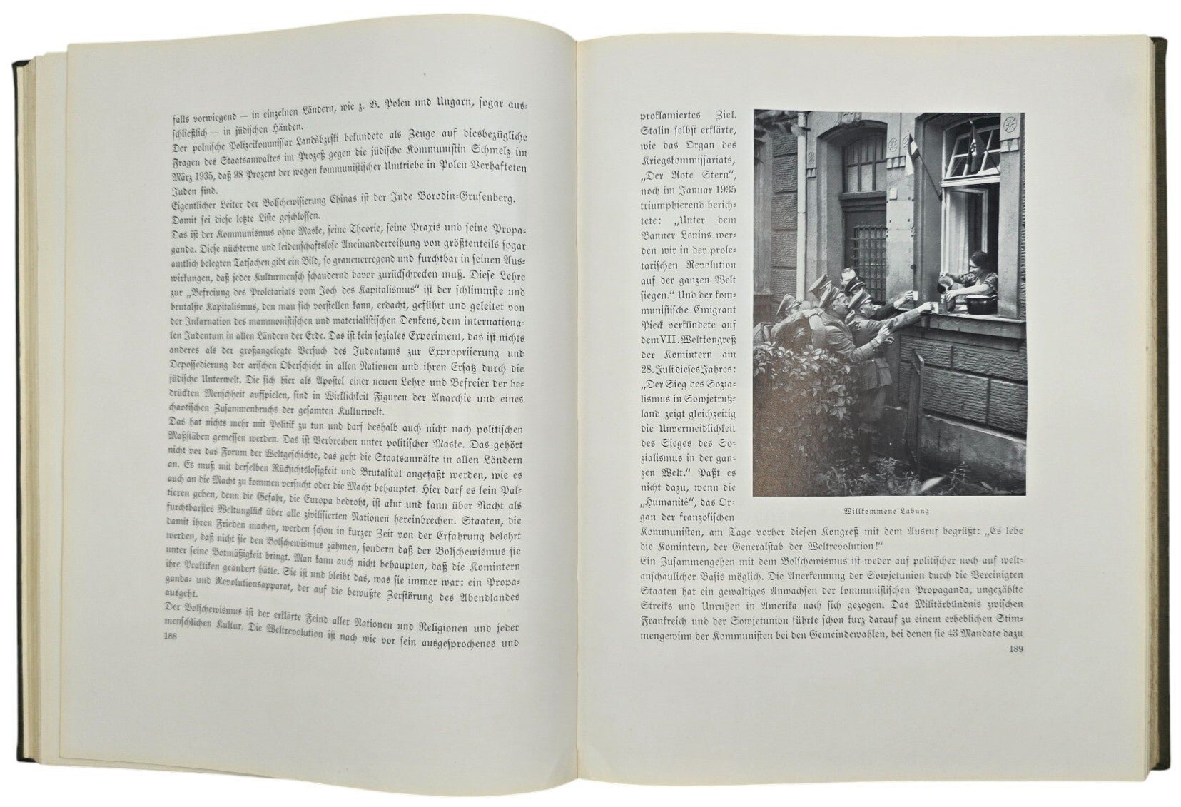Original WW2 German NSDAP Book - Reichstagung in Nürnberg, Der Parteitag der Freiheit, Hanns Kerrl (1935) — image 10