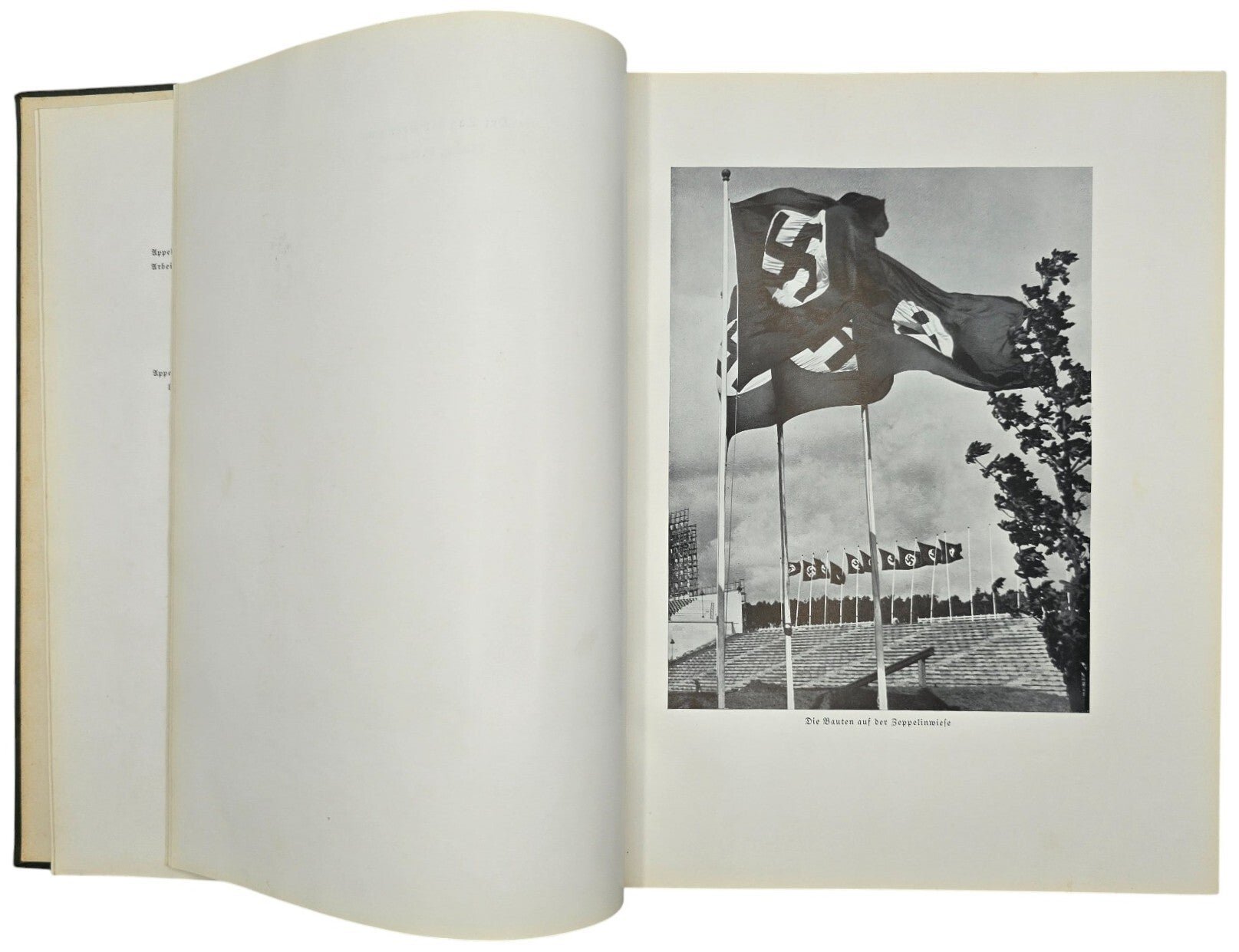 Original WW2 German NSDAP Book - Reichstagung in Nürnberg, Der Parteitag der Freiheit, Hanns Kerrl (1935) — image 6