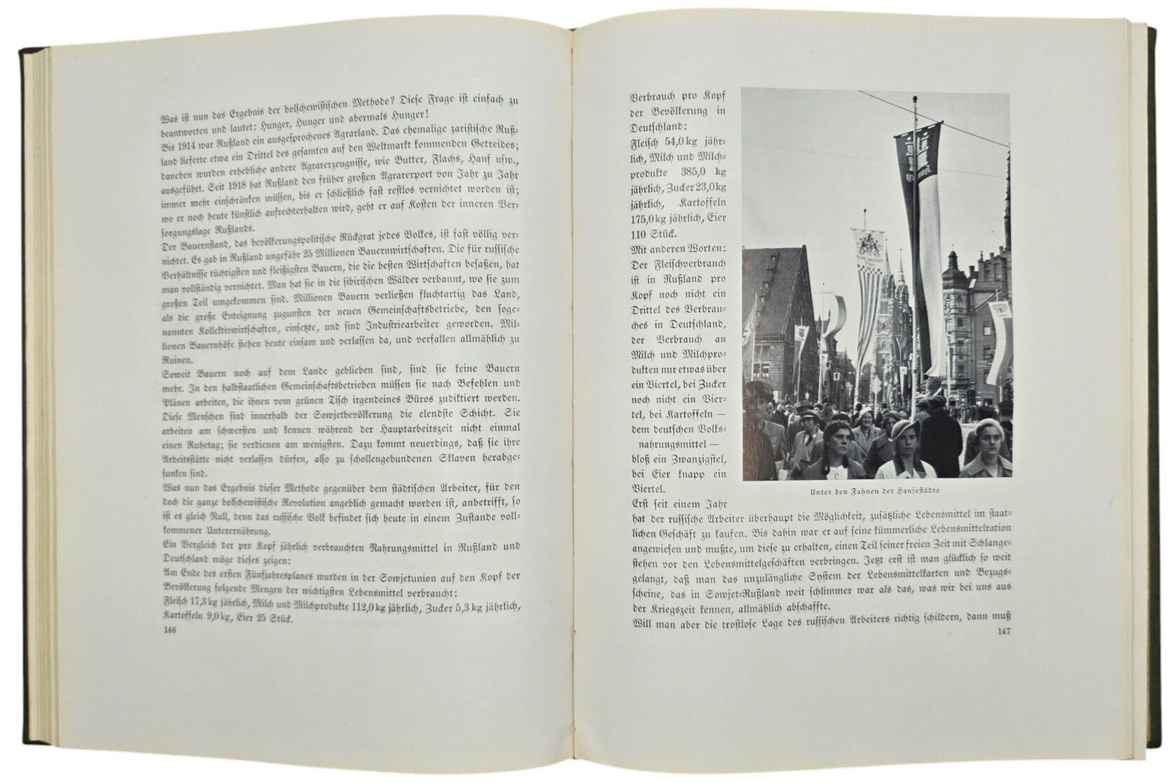 Original WW2 German NSDAP Book - Reichstagung in Nürnberg, Der Parteitag der Freiheit, Hanns Kerrl (1935) — image 9
