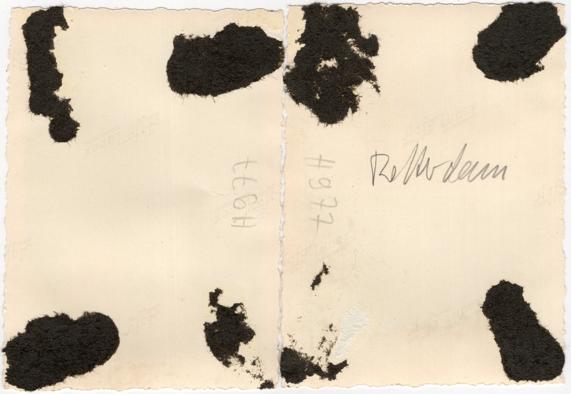 Original WW2 German Photo - German artillery troops with cannon near Rotterdam, Holland, May (1940) — image 2