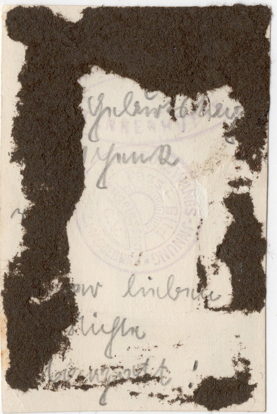 Original WW2 German Photo - Portrait HJ Hitler Jugend girl with NSF Deutsche Kinderschar pin — image 3