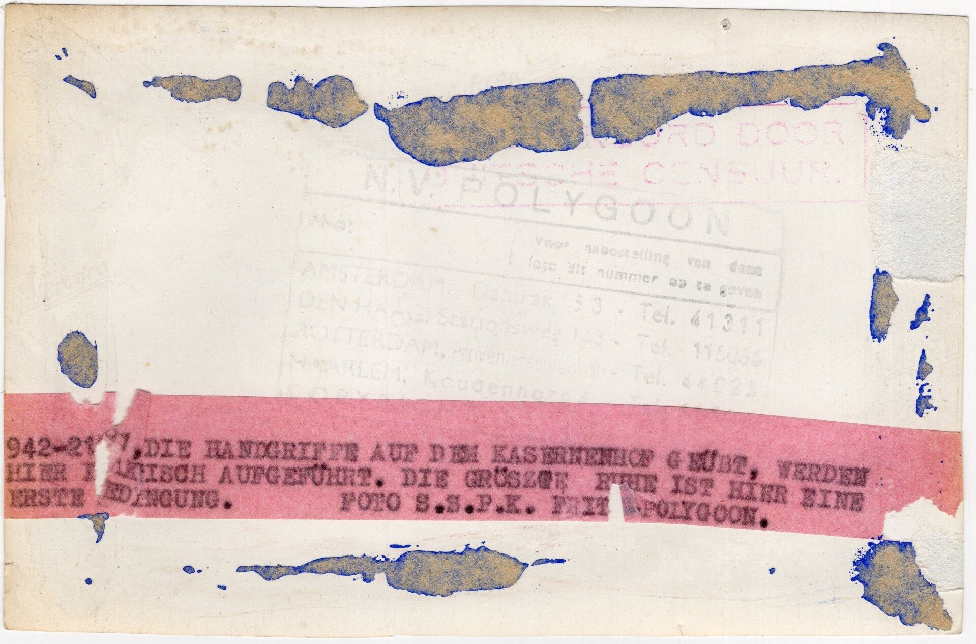 Original WW2 Dutch Waffen SS Photo - Dutch SS Regiment Westland soldiers training with the K98 — image 2