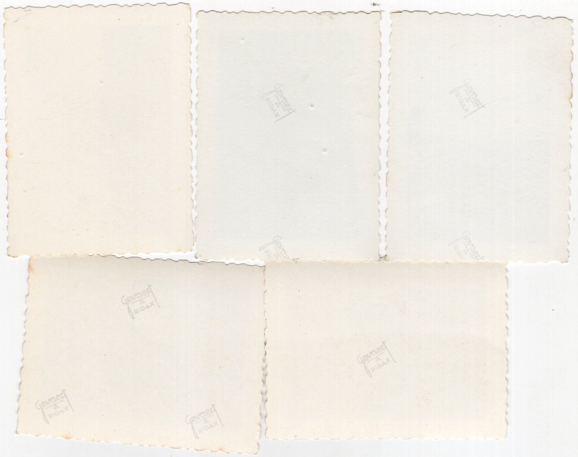 Original WW2 German Photo - German Wehrmacht soldiers at the Rotterdam airfield, Waalhaven, Holland (1940) — image 2