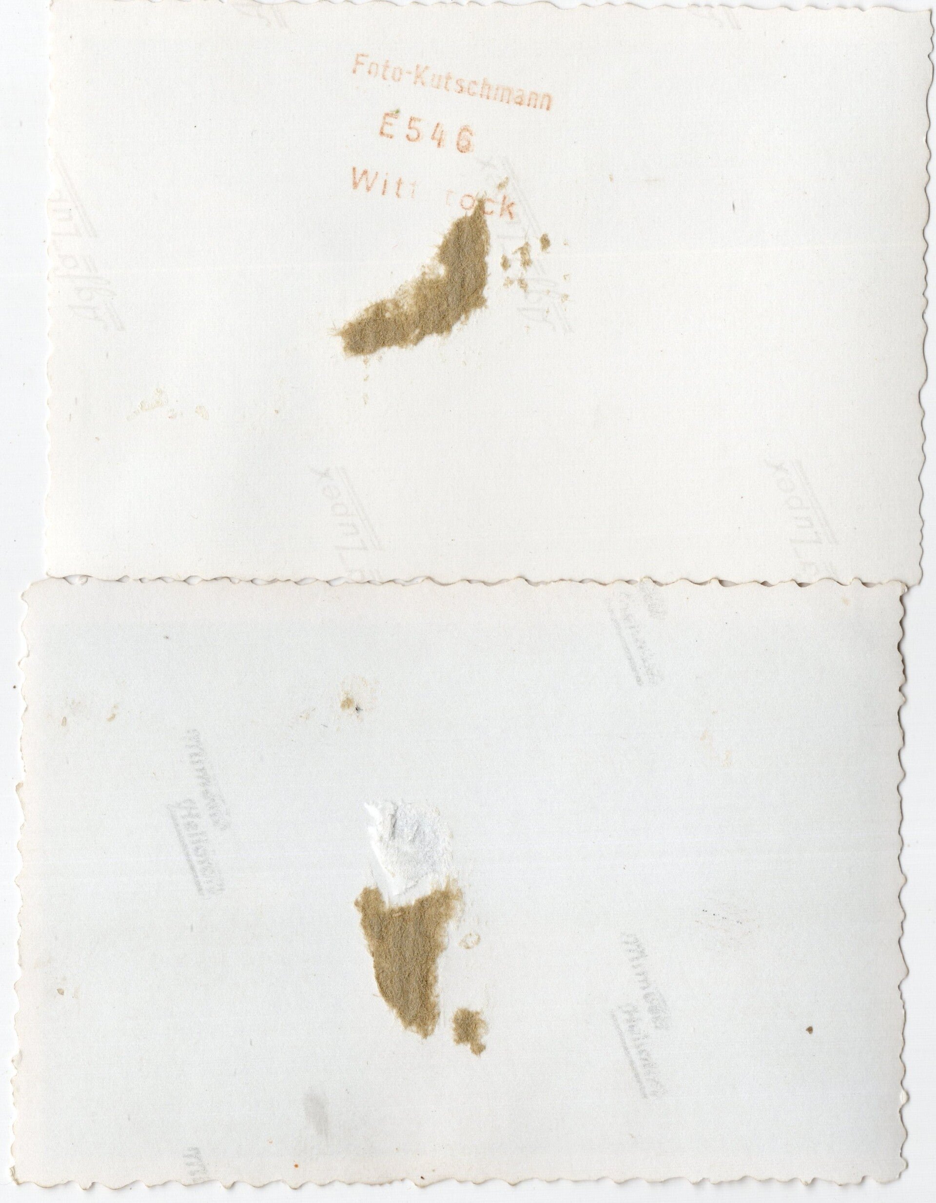 Original WW2 German Photo - German Panzer tank near Rotterdam, The Hague during the Blitzkrieg on Holland in May (1940) — image 2