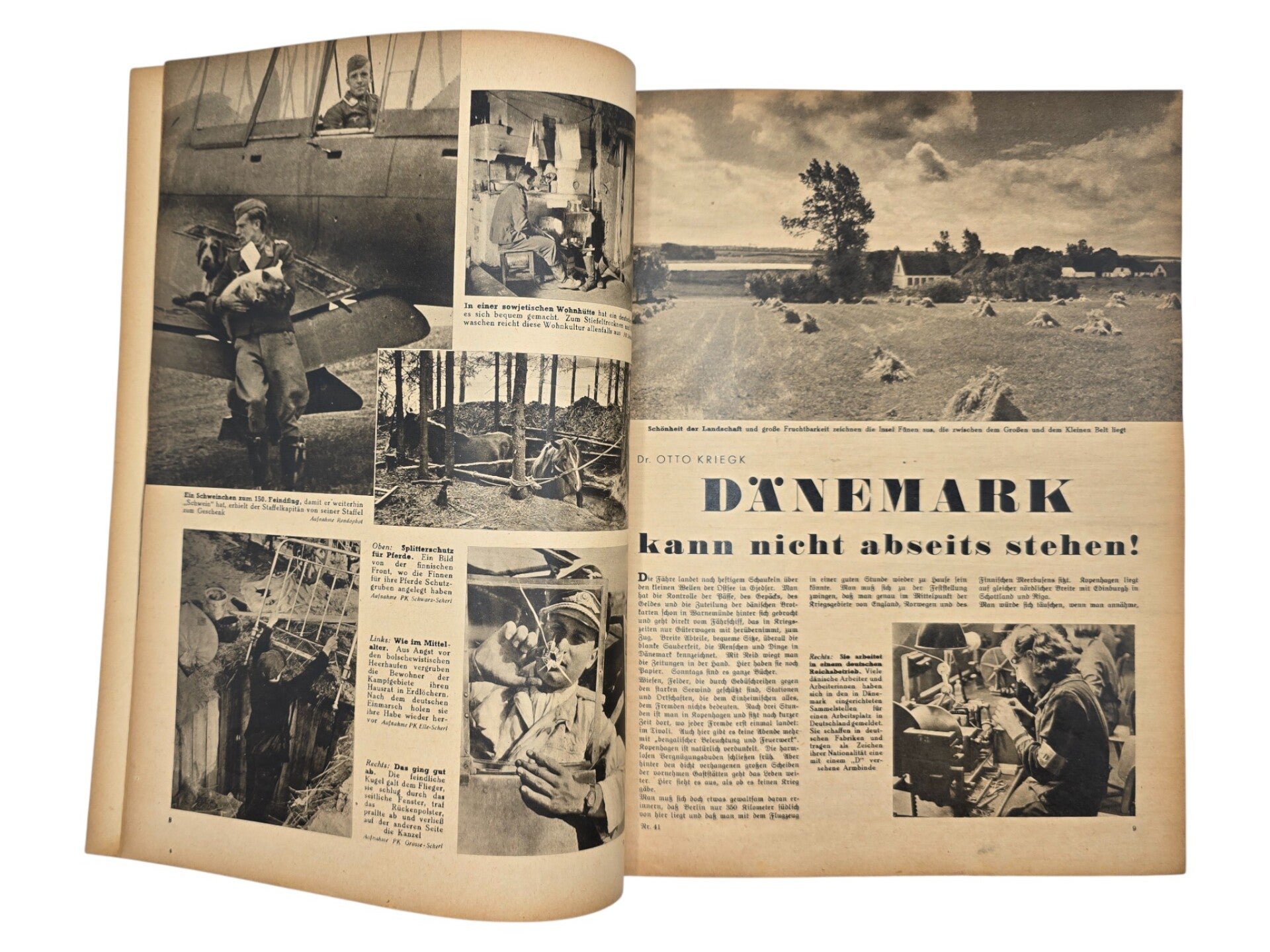 Original WW2 German Magazine - Die Woche No. 41, SS Totenkopf Spahtrupführer (1941) — image 3