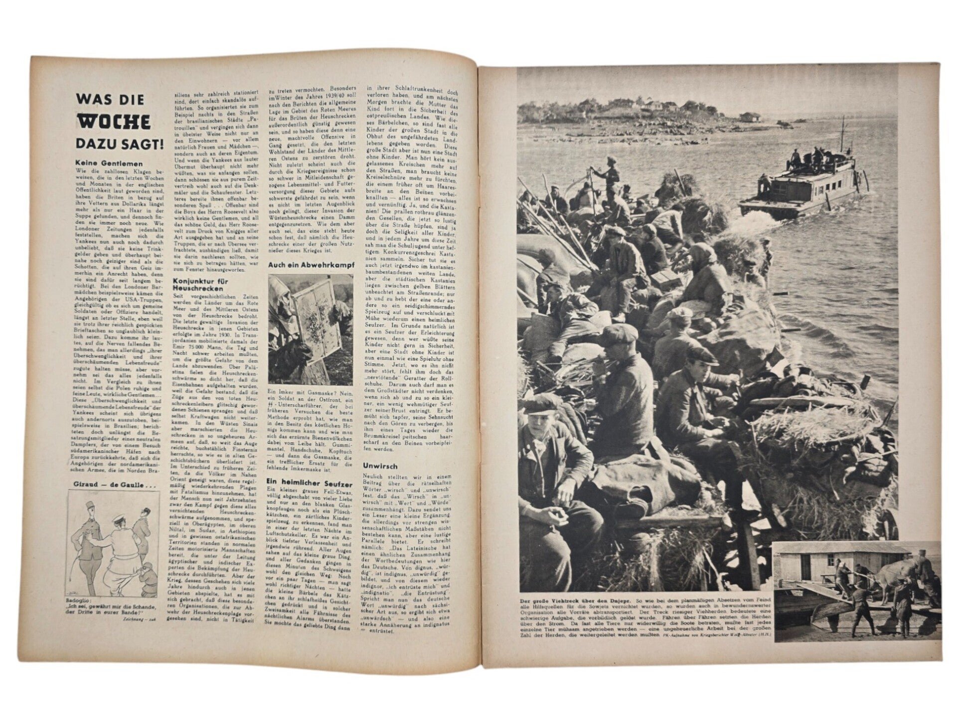 Original WW2 German Magazine - Die Woche No. 41, Fallschirmjäger (1943) — image 2