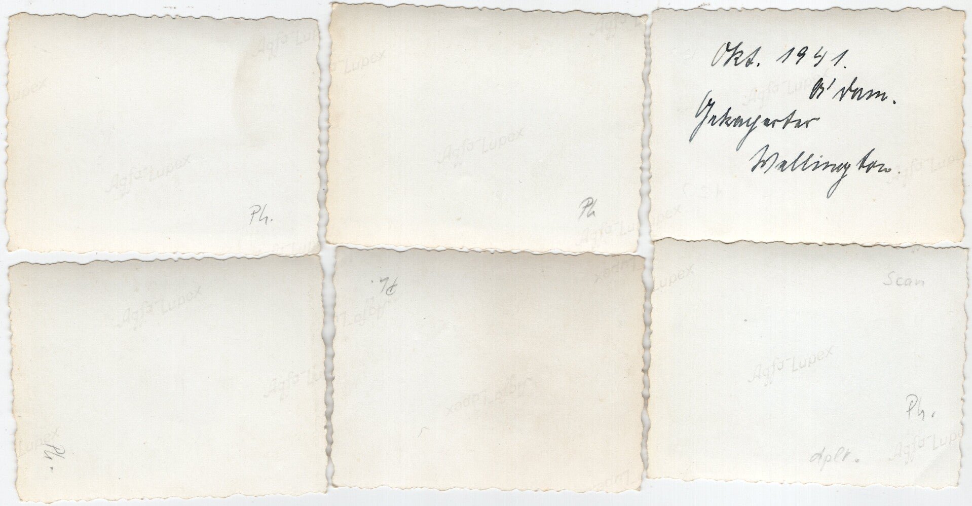 Original WW2 German Photo - Leidschendam landed RAF Vickers Wellington turned into a beute Luftwaffe airplane, Fliegerhorst Schiphol, Amsterdam (1941) — image 7