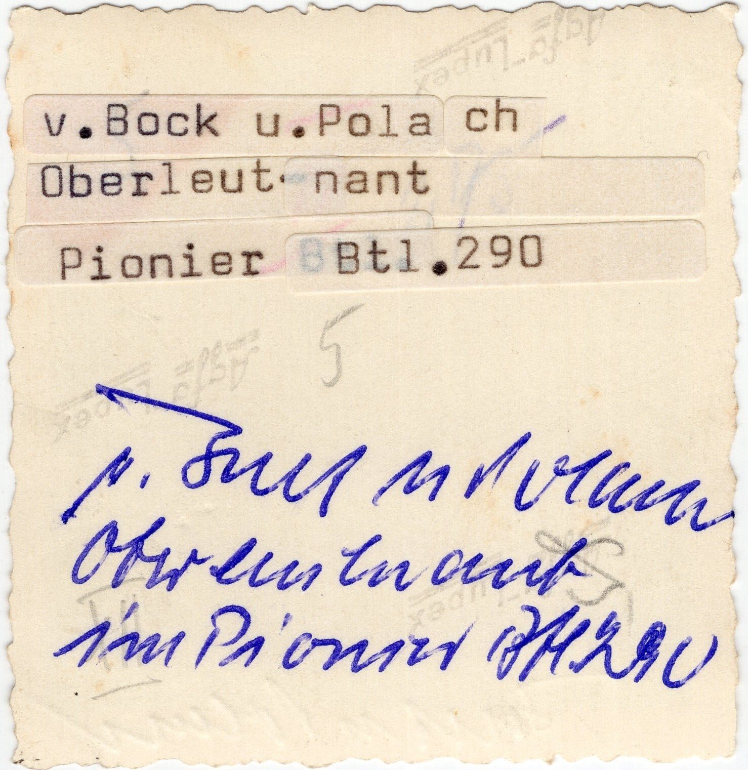 Original WW2 German Photo - Portrait of Berndt von Bock with signatures, Kurland cufftitle (1945) — image 4