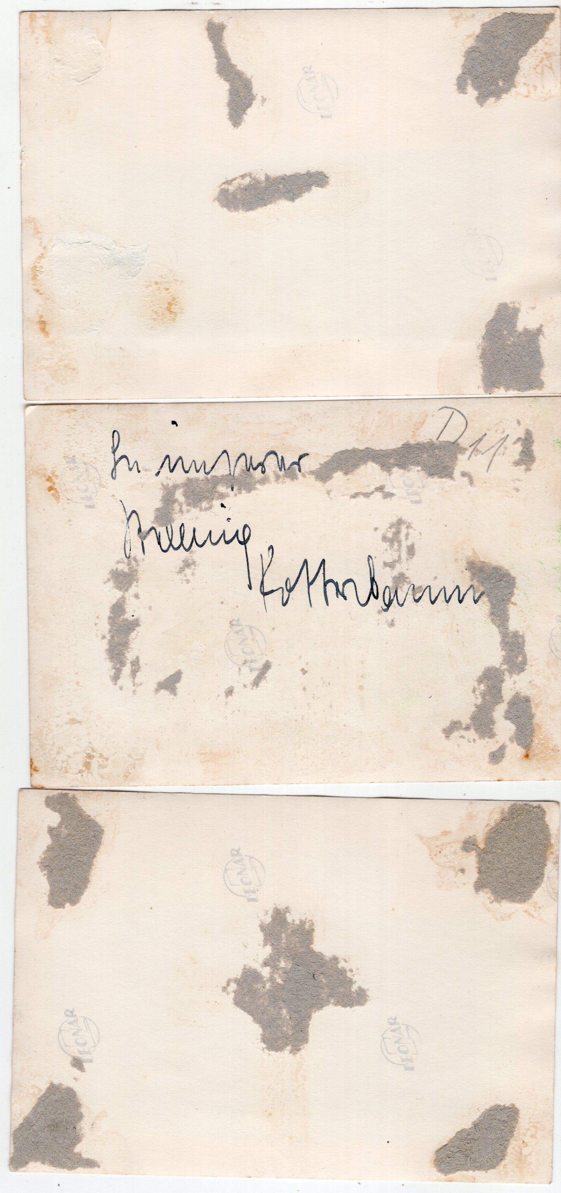 Original WW2 German Photo - Luftlandetruppen near Rotterdam, Holland, May (1940) — image 4