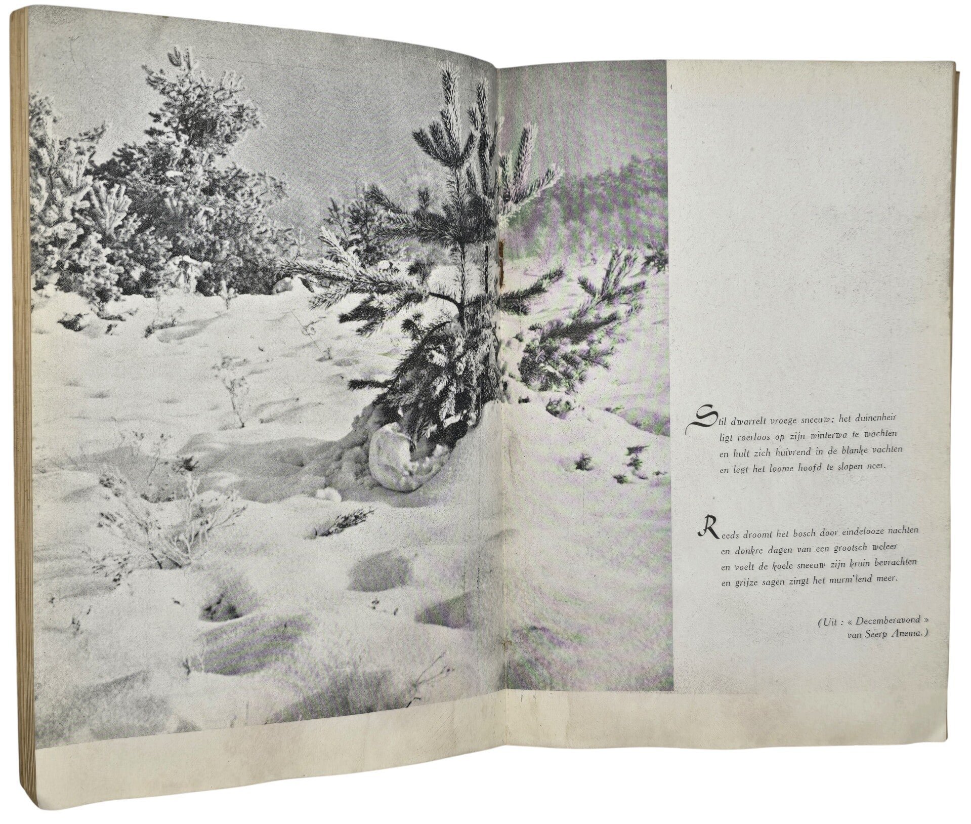 Original WW2 Flemish HJ Brochure - Führerdienst Hitler Jeugd Vlaanderen, December (1943) — image 5