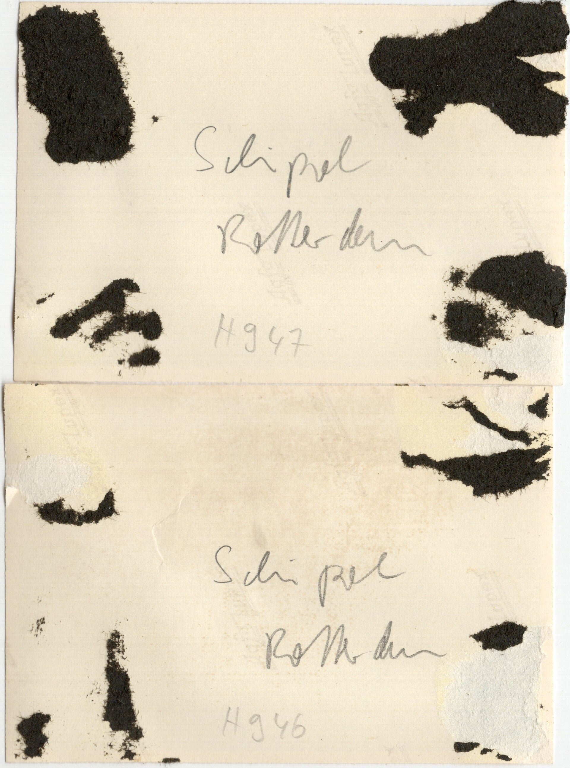 Original WW2 German Photo - Rotterdam airfield Waalhaven with crashed Junkers JU 52 airplane, Holland (1940) — image 2