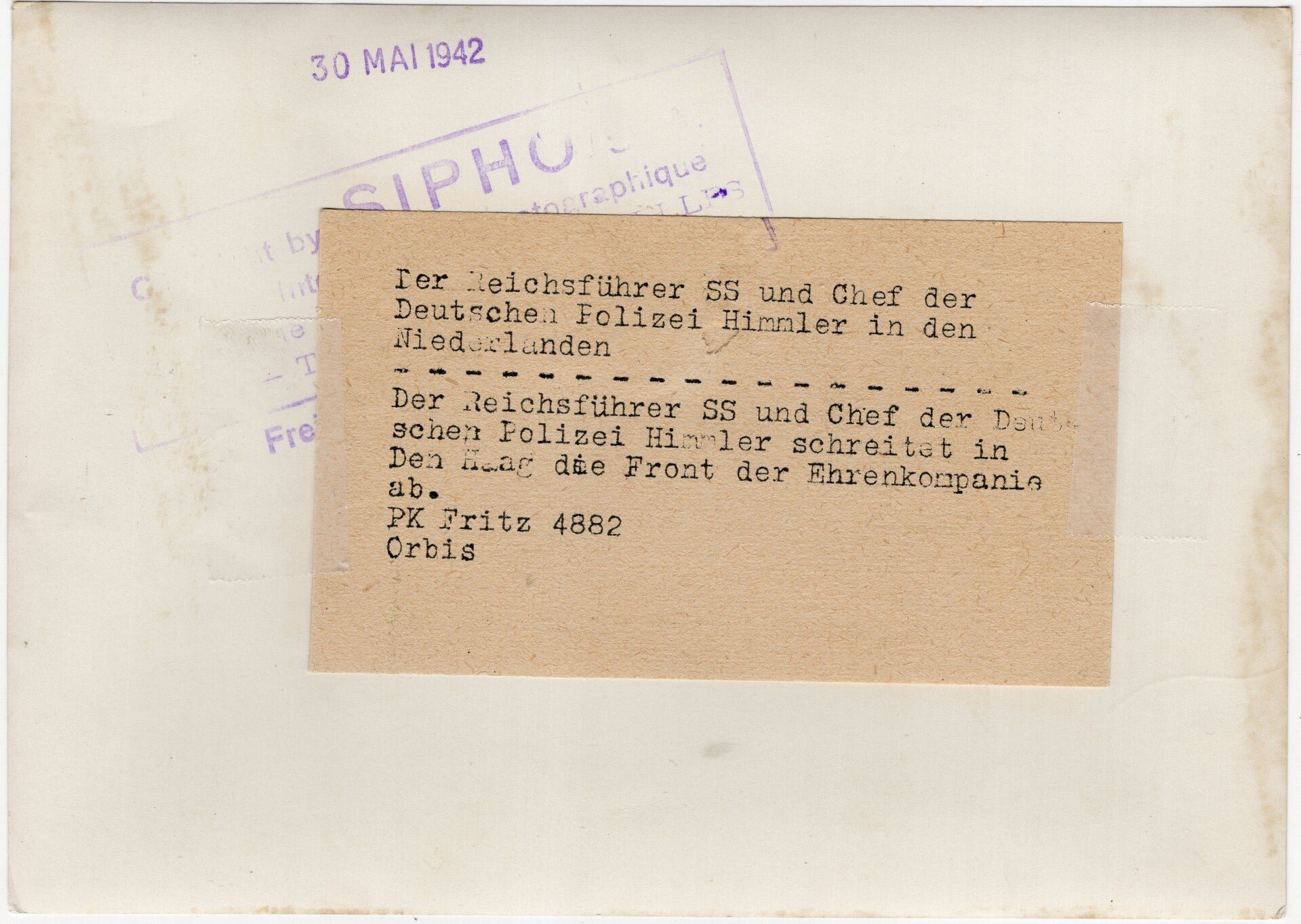 Original WW2 German Waffen SS Press Photo - Heinrich Himmler inspects Dutch Waffen SS troops in the Dierentuin, Den Haag, Holland (1942) — image 2