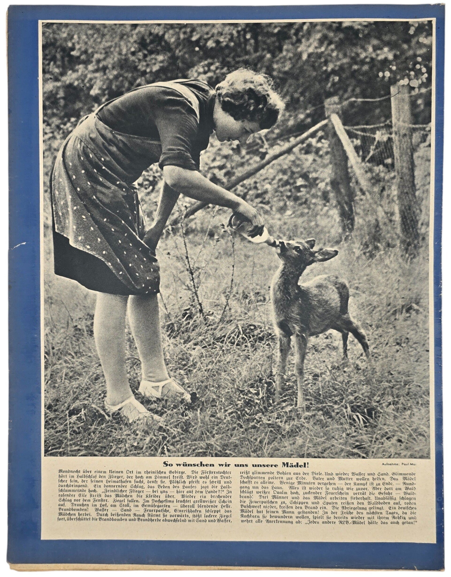 Original WW2 German RLB Magazine - Die Sirene, Nr. 21, Hermann Göring (1940) — image 3