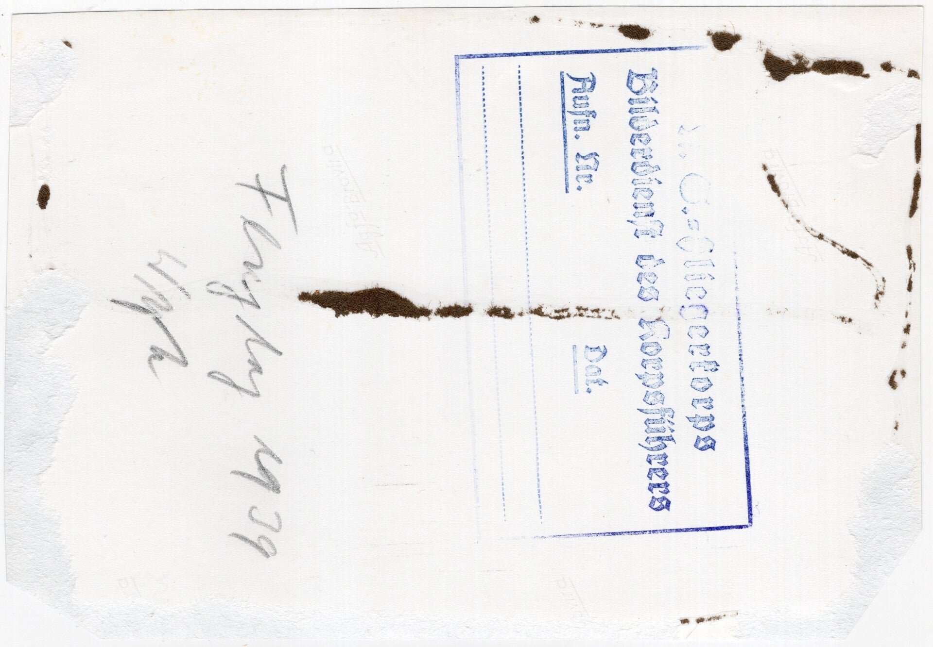 Original WW2 German Press Photo - NSFK NS Fliegerkorps gathering (1939) — image 2