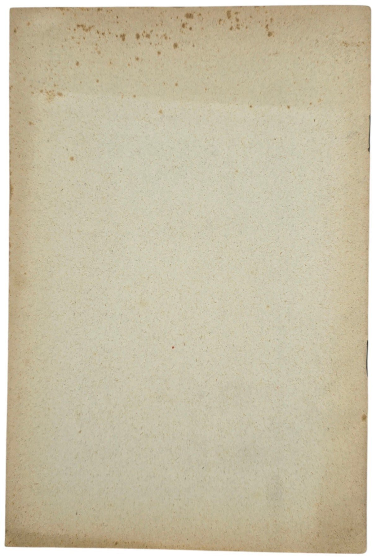 Original WW2 Dutch Collaboration NSB Brochure - De stem van ons bloed, E. J. Roskam (1940) — image 4