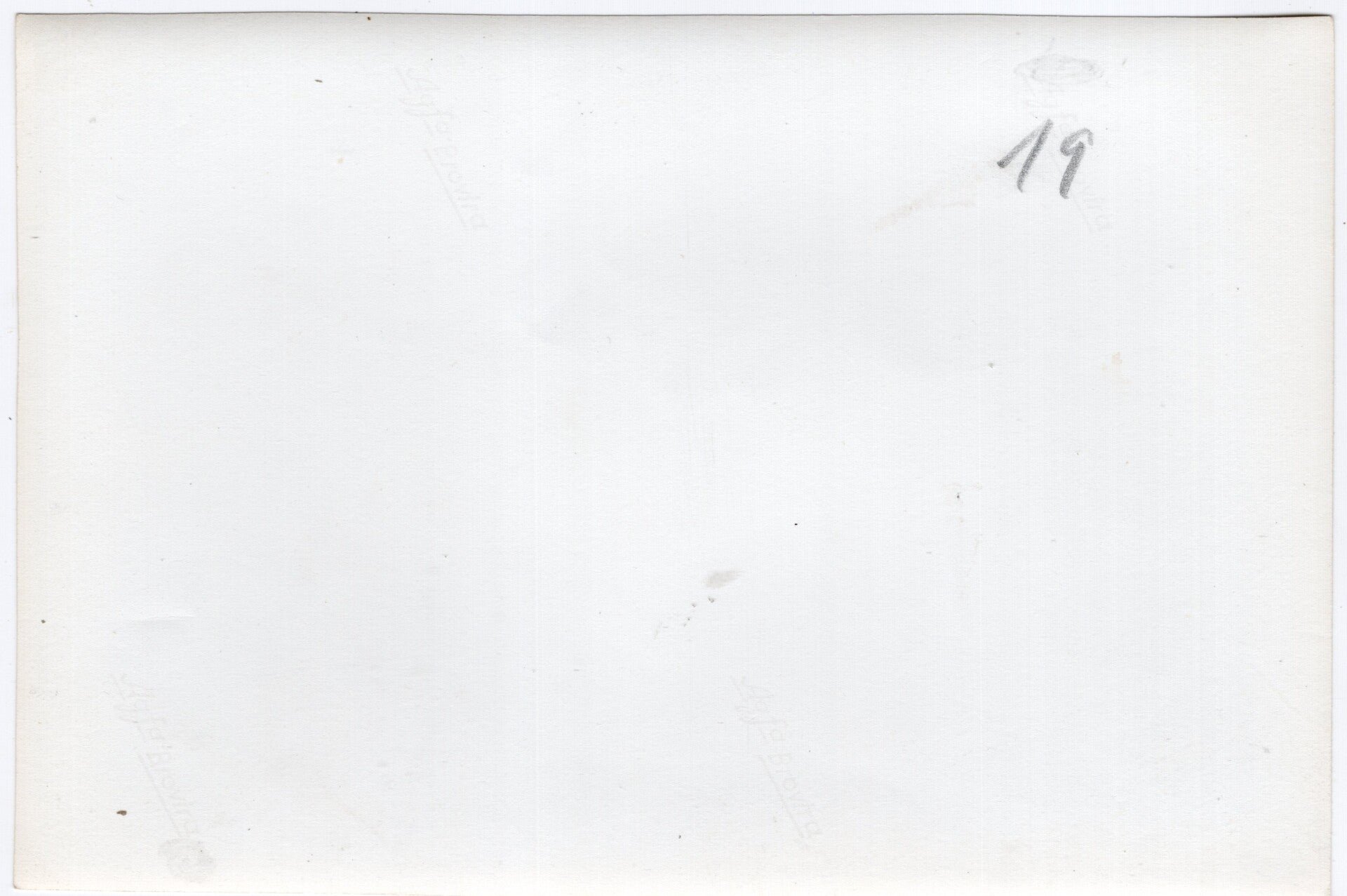 Original WW2 German Press Photo - NSFK NS Fliegerkorps parade, Adolf Hitler, Christiansen, Hess, Göring, Reichsparteitag Nürnberg (1938) — image 2