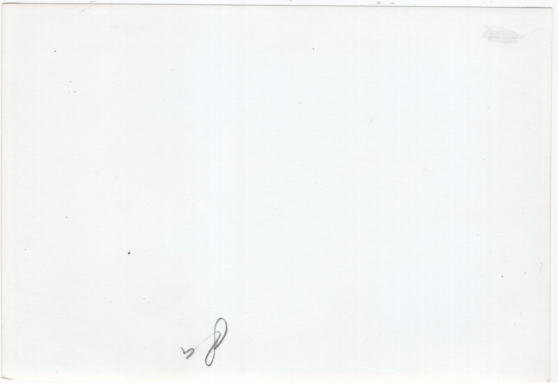 Original WW2 German Press Photo - Heinrich Himmler and Friedrich Christiansen at Kasteel Oud Wassenaar, Holland (1942) — image 2