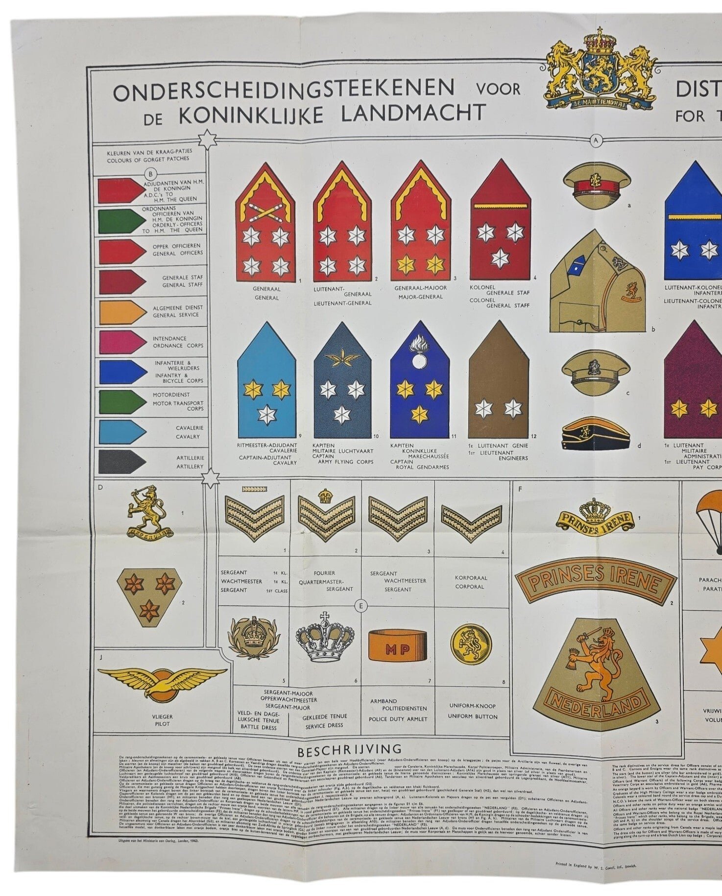 Original WW2 Allied Dutch Poster - Distinctives and Badges of Rank for the Royal Netherlands Army, London (1943) — image 2