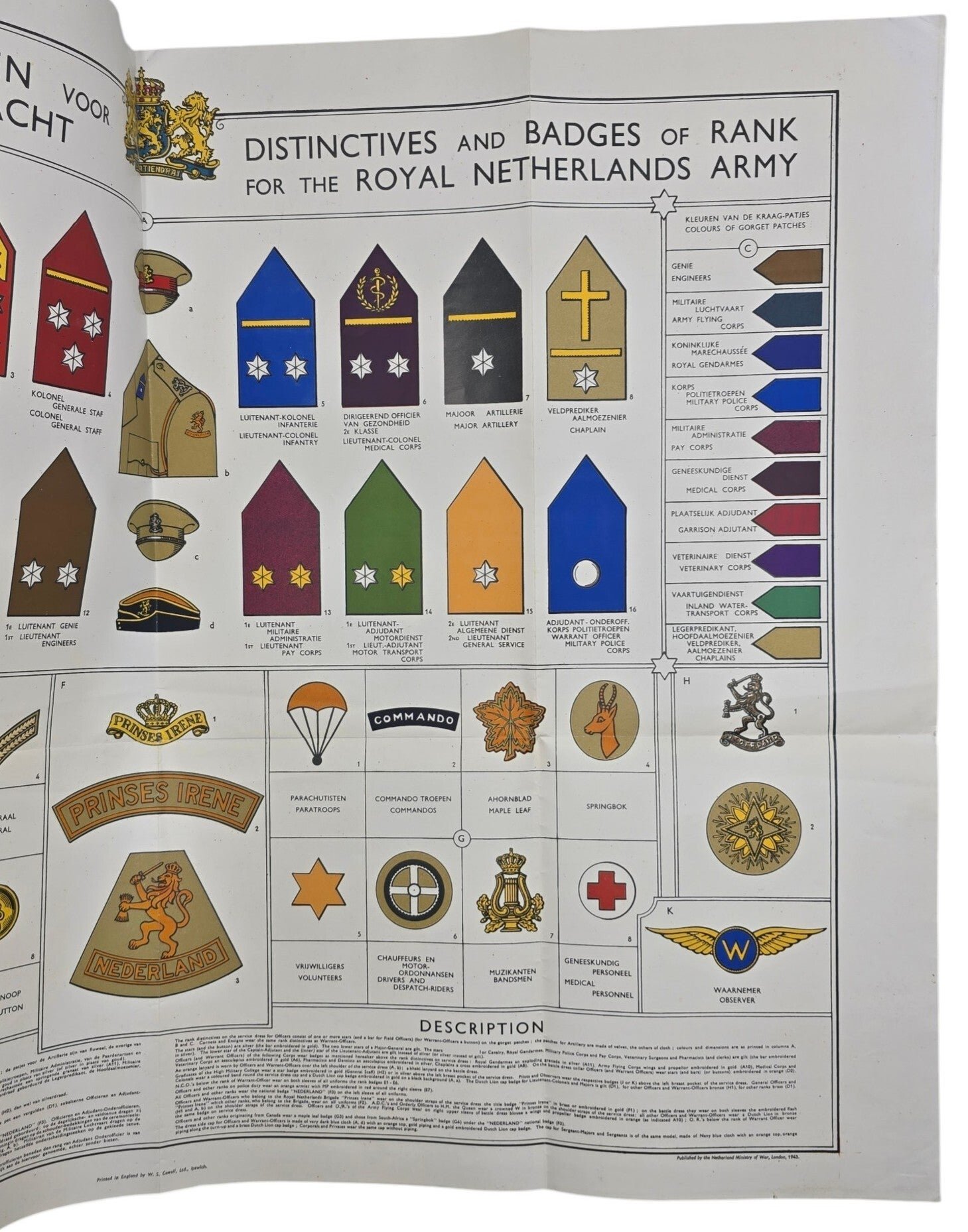 Original WW2 Allied Dutch Poster - Distinctives and Badges of Rank for the Royal Netherlands Army, London (1943) — image 3