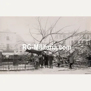 Original WW2 German Photo - Cut Dutch Wilhelminaboom, Zutphen (1940)