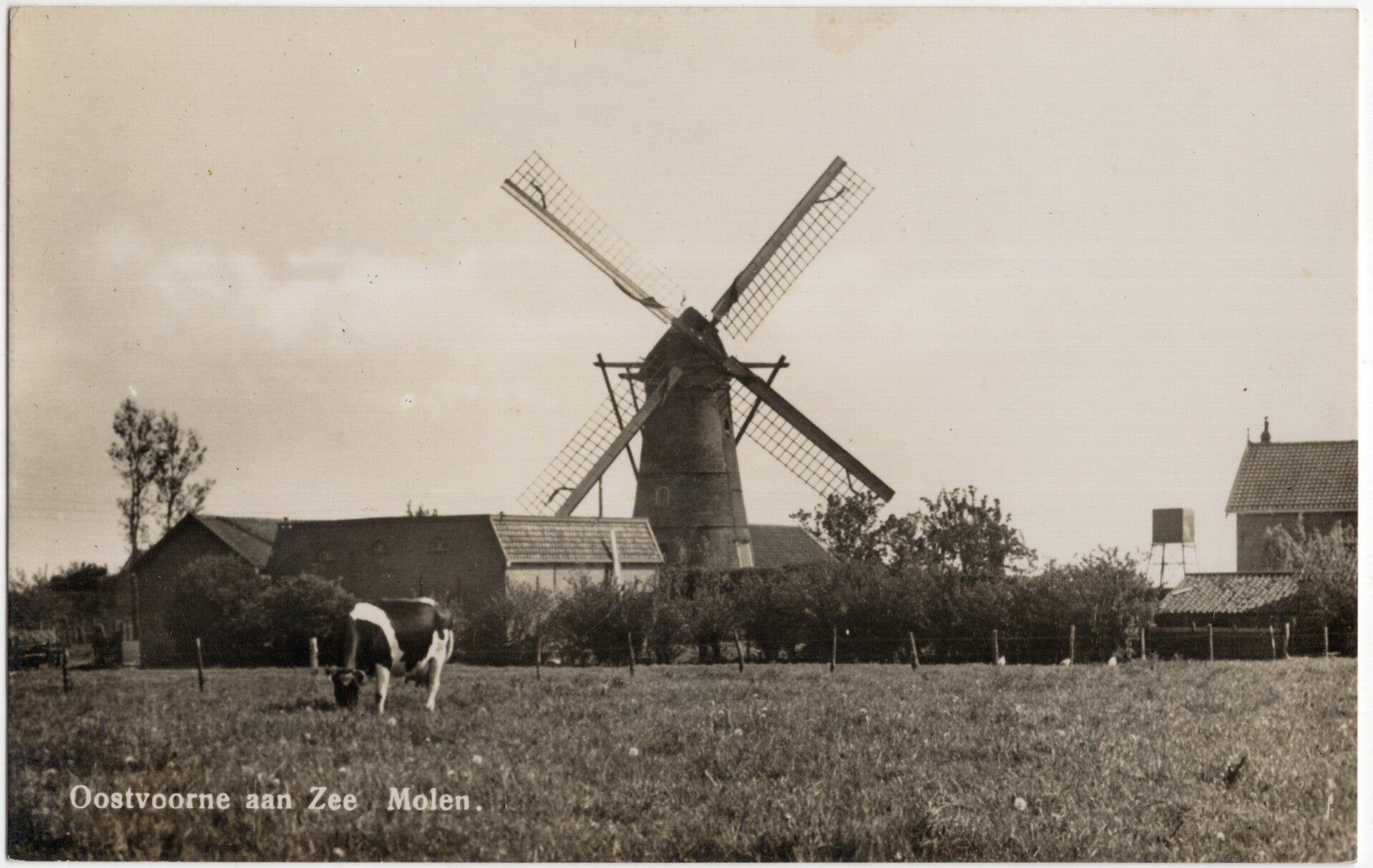 Original Dutch WW2 Postcard - Feldpost Oostvoorne aan Zee Kommando 346. Infanterie-Division (1944) — image 2