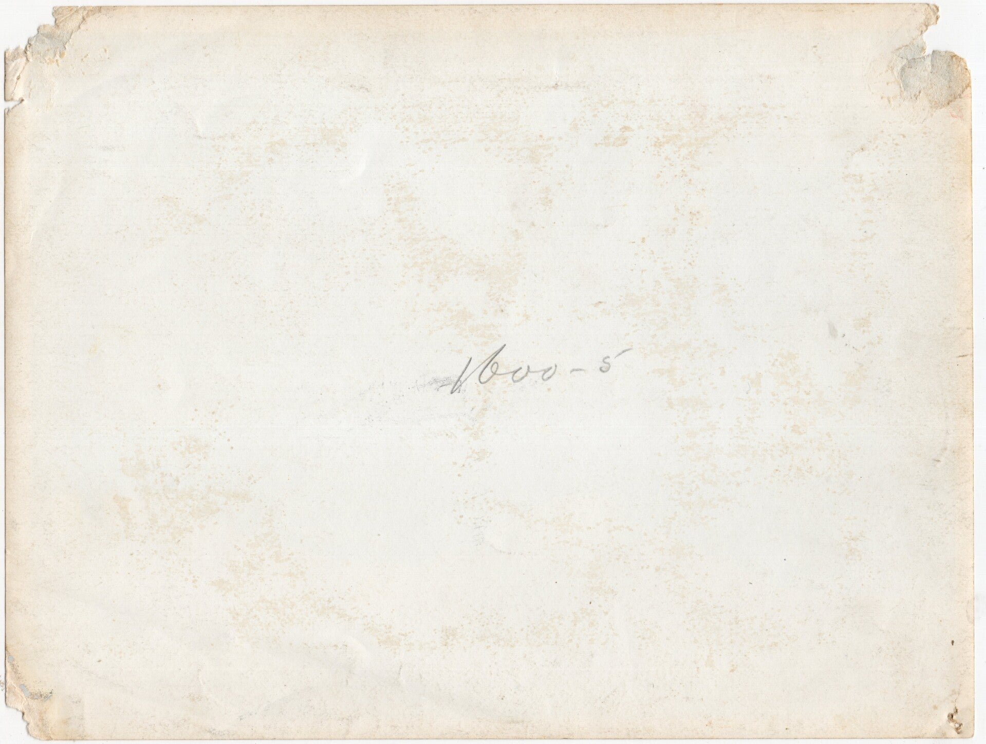 Original WW2 Dutch Waffen SS Press Photo - Leader of the Dutch NSB Anton Mussert speaks to new Dutch SS Landwacht Nederland recruits during a ceremony in Weert (1943) — image 2